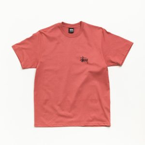BASIC STÜSSY TEE